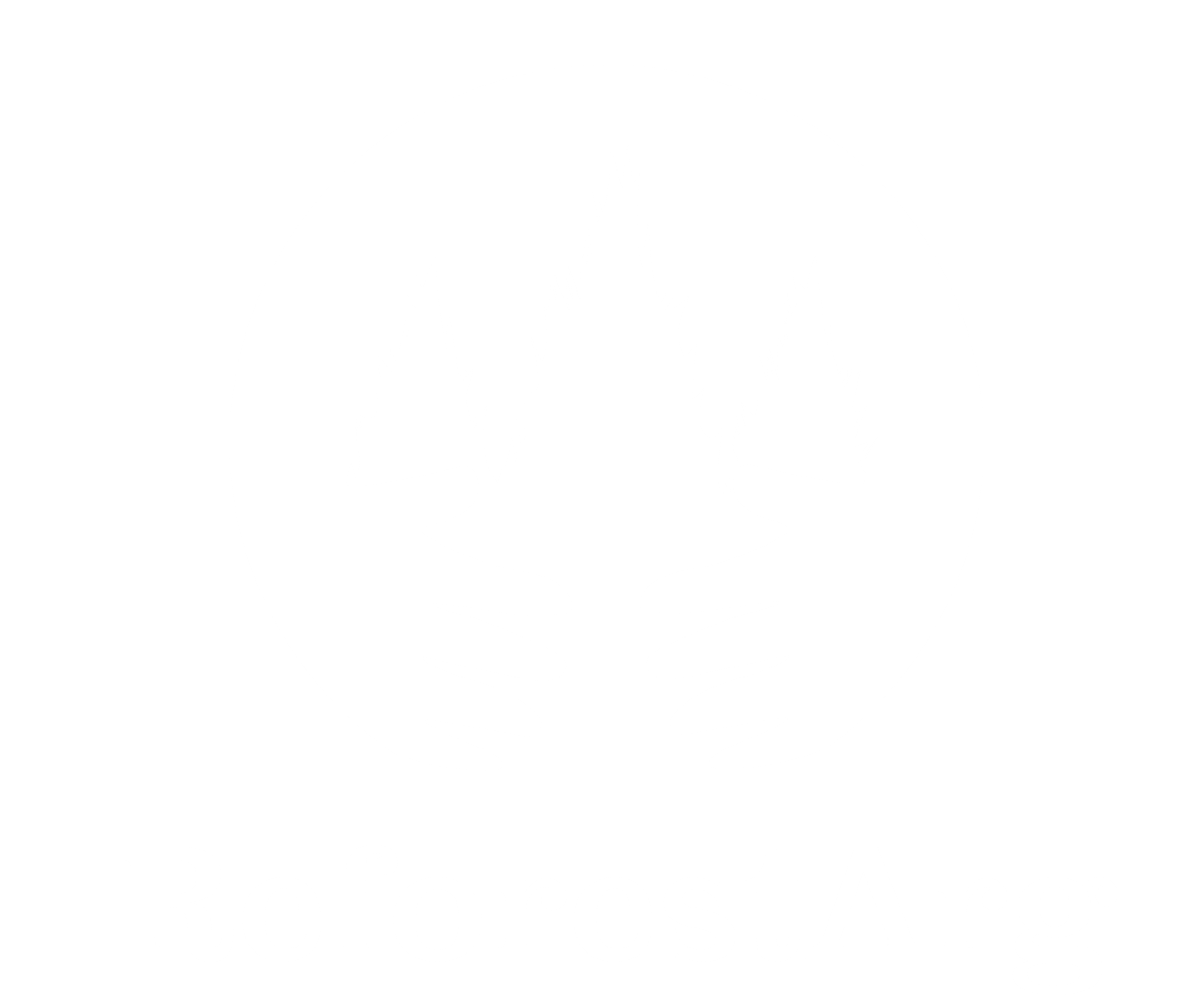 logo-custom2